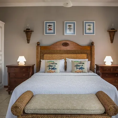 Faros (adults Only) Fiskardo