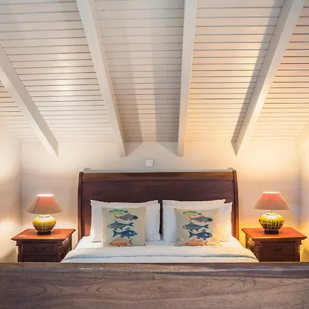 아파트 Faros (adults Only) 피스카던